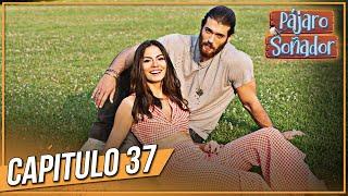 Pájaro soñador - Capitulo 37 (Audio Español - Larga Capitulo) | Erkenci Kuş