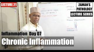 General Pathology: Lecture 21 | Inflammation DAY 07 | Chronic Inflammation