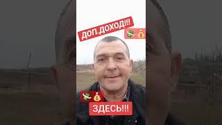 НАУЧУ СТАБИЛЬНО И МНОГО ЗАРАБАТЫВАТЬ  #научузарабатывать #онлайнбизнес #финаннсы #проверено