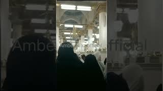 Riaz Ul Jannah  in Masjid Nawbi Madina subhanAllah#madinasharif #fearless#daily life #umrah package