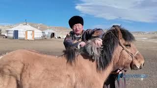 Аймгийн аварга малчин Б.Оюунсүрэн