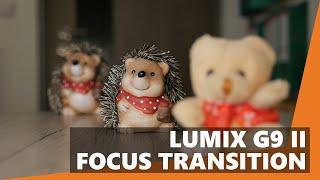 Panasonic Lumix G9 II Focus Transition