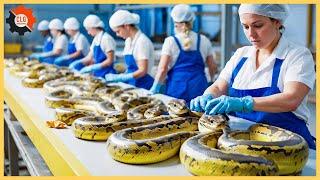 Most Unbelievable Food Industry Machines That At Another Level ▶247