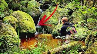 Germany’s last native trout live in this 200-meter-deep gorge!