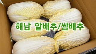 쌈배추 작업 흙철이네 쌈배추 (12포기 15000원)