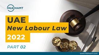 UAE Introduced New Labour Law Effective From February 2022 #ep02
