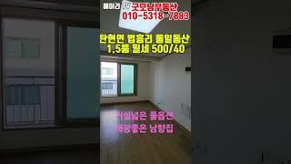 NO 46M [파주 1.5룸] 파주 탄현면 법흥리 통일동산 신세계첼시아울렛 헤이리 1.5룸 월세 500/40만 풀옵션 개방감 좋고 채광좋은 남향집 거실 넓은 1.5룸#shorts