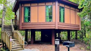 My NEW FAVORITE Disney Resort! Disney Treehouse Villas Tour 2024