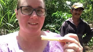 Exploring the Lake Yojoa Honduras and Trying New Foods