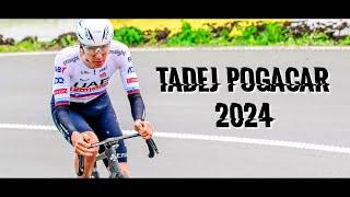 Tadej Pogacar 2024 I The Invincible