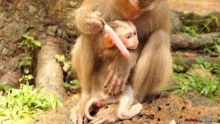 adorable baby floran waiting milk from his mom while Flora was eating ice-cream