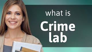 Unlocking the Mystery of "Crime Lab"