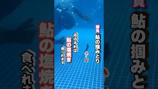 (父の無骨飯)鮎の塩焼き＆鮎のお刺身作り方 ・我が家のインテックスプールの使い方