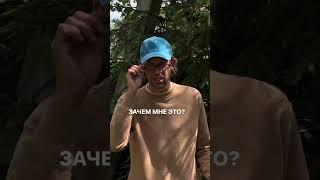 Сегментация аудитории иразделение тематики. Обучение по Ai Автоматизации: https://clck.ru/3G9CPZ #ai