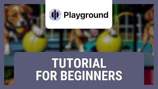 Playground AI Tutorial for Beginners