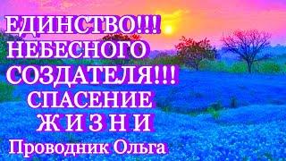 ЕДИНСТВО!!! НЕБЕСНОГО СОЗДАТЕЛЯ!!! СПАСЕНИЕ ЖИЗНИ ️@novoe_probujdene_chelovchestva