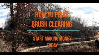 HOW TO PRICE A BRUSH CLEARING JOB!