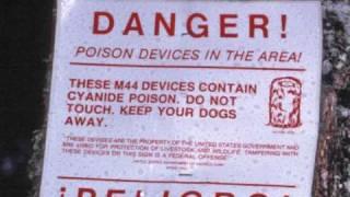 Lethal Dose