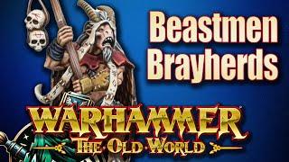 Beastmen Brayherds One Year After The Release of Warhammer The Old World