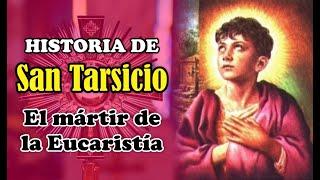  San Tarsicio, el mártir de la Eucaristía 