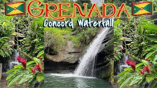 Concord Waterfall in Grenada 