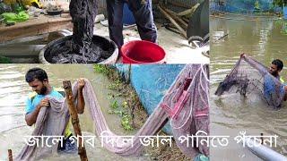 জালে গাব ফল ব্যবহার করার পদ্ধতি শুরু থেকে শেষ পর্যন্ত। using gab fruit in mesh.@FieldfreshAgro