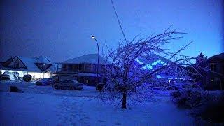 Ice Storm Destruction at Mr Carlson's House!