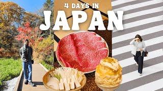 4 Days in Japan Vlog with UNIQLO  Tokyo Travel Itinerary, Shinjuku, Harajuku, Nagano, Karuizawa