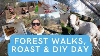 FOREST WALKS, ROAST & DIY DAY | DITL MUM OF 3