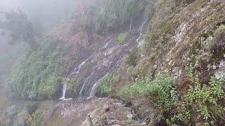 Ruta Nacientes Marcos y Cordero, Isla de La Palma