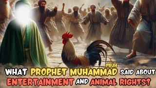 Prophet Muhammad about Entertainment and Animal Rights | Hazrat Muhammad SAW | KAZSchool 2024