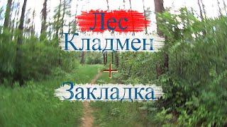 Ищу закладку / В поисках клада / Чайки