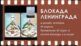 Дизайн человека. Блокада Ленинграда.