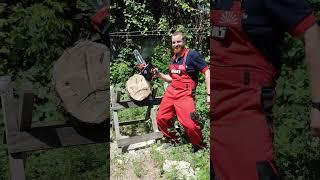 Бензопила Vitals #vitals #садгород #shorts