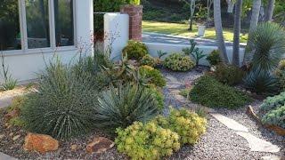 Design Ideas from an Award-Winning Succulent Garden