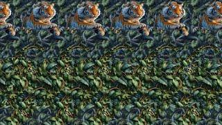 Animal Attraction  - 3D Stereogram Illusions
