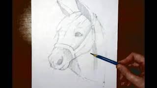 Конь тоновой рисунок для учеников Скадовской школы искусств