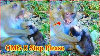 OMG!! PLEASE STOP, Crazy Mom Monkey Bites Baby Monkey, Making Baby Monkey Cry And Hurt