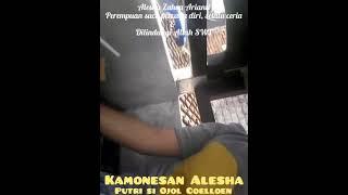 Kamonesan Alesha, Putri si Ojol Coelloen