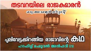 തടവറയിലെ രാജകുമാരൻ, അറബ് സ്റ്റോറി, ഹാഫിള് മഹ്മൂദൽ അൻഫദി(റ)വിന്റെ ചരിത്രം, പുലിവേട്ടക്കിറങ്ങിയ രാജാവ്