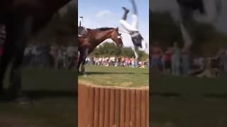 The ending always stays the same ️‍🩹 #equestrian #horse #horsefail #horseriding #horsejumping