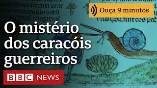 O mistério dos caracóis guerreiros da Idade Média