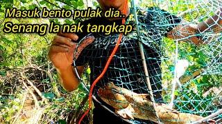 Tahan Bento ketam tapi dapat ikan tembakul..