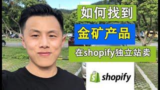 shopify独立站选品 | 如何找到1000美金/天的金矿产品在Shopify独立站售卖