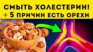 Рецепты чистки сосудов от холестерина грецкими орехами