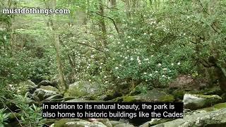 Great Smoky Mountains National Park