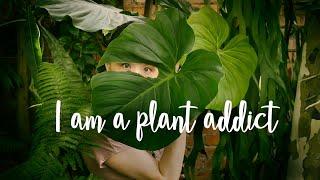 PLANT SHOPPING ADDICT goes to therapy - 4 Tips for Success!