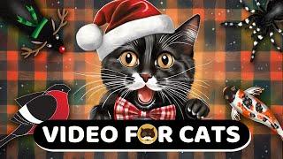 CAT GAMES - Mice, Strings, Birds, Fish, Spiders, Hamsters, Gingerbread Cookies | CAT TV Compilation.