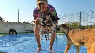 Teaching Puppies to Swim for the First Time... Love Furry Friends Shelter