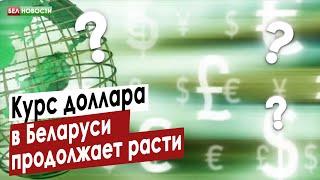 Курс доллара в Беларуси продолжает расти